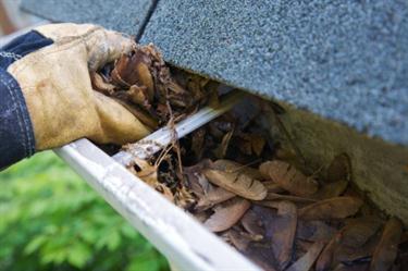 Cleaning gutter in Estero, FL.